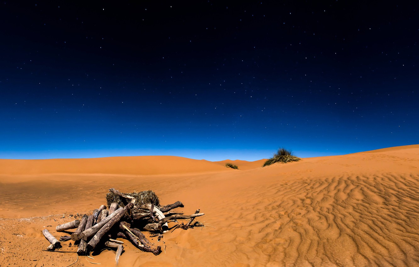 Wallpaper sand the sky stars night desert Sahara driftwood
