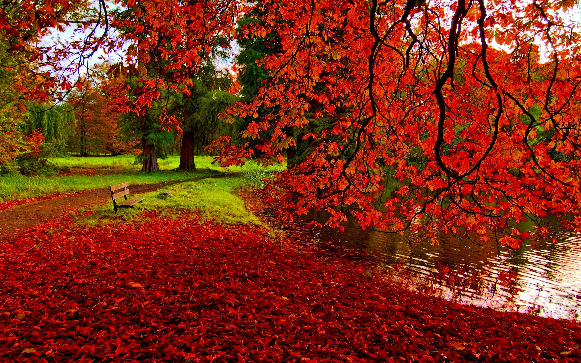 Fall Scenery Image HD Wallpaper Live Hq