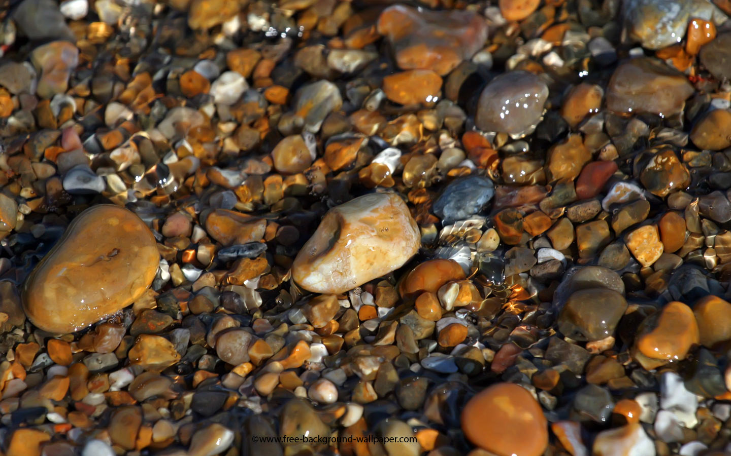 Shiny Wet Beach Pebbles Stones Wallpaper Pixels