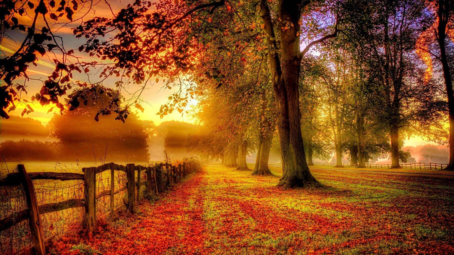 Autumn Season Wallpaper