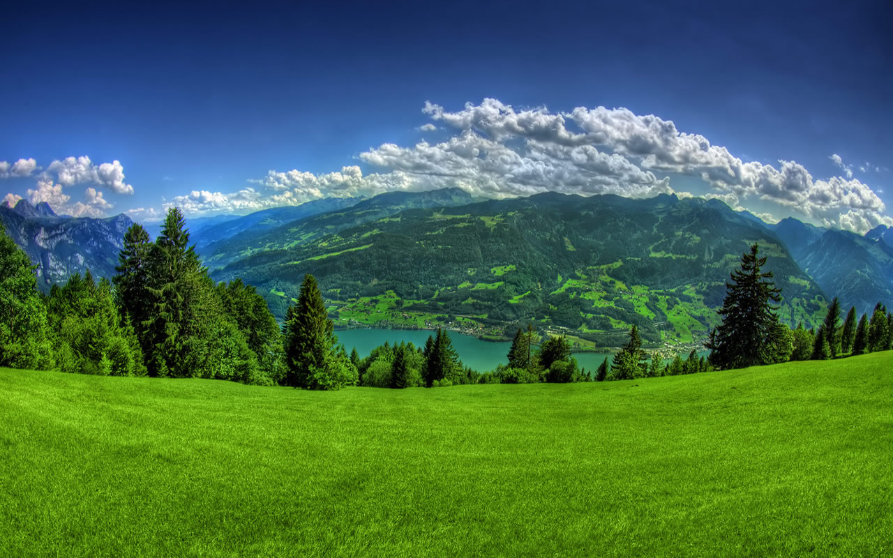 Image Online Spring Desktop Wallpaper