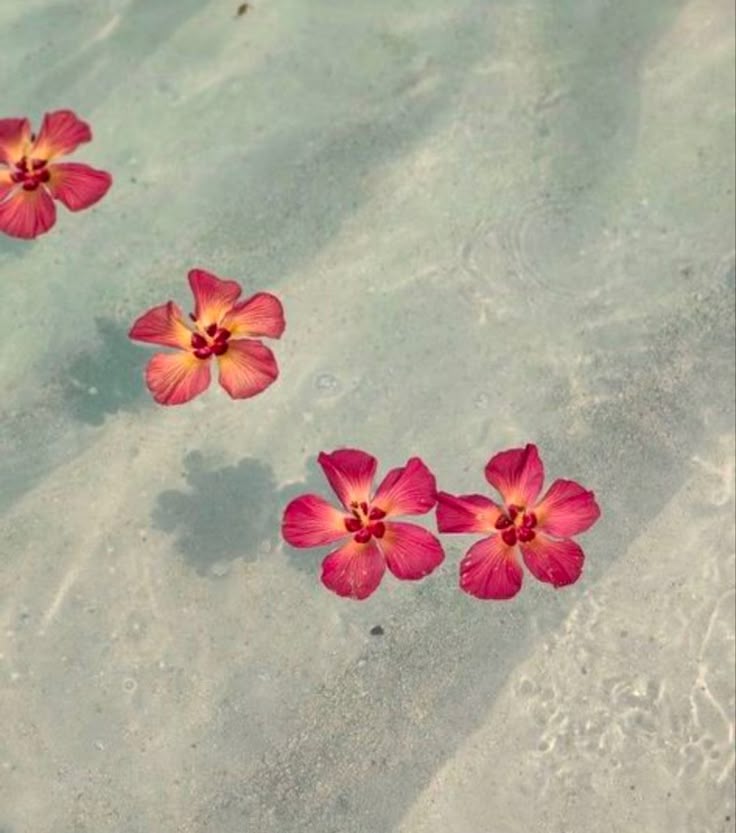 Jenreneelynn On Aesthetic Wallpaper
