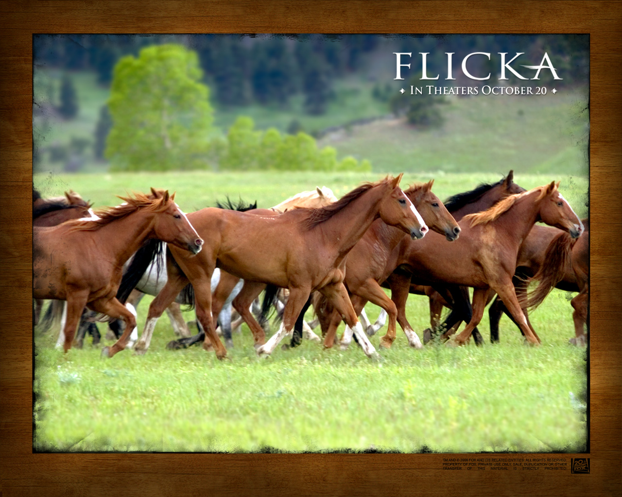 Flicka Wallpaper And Background Image Id