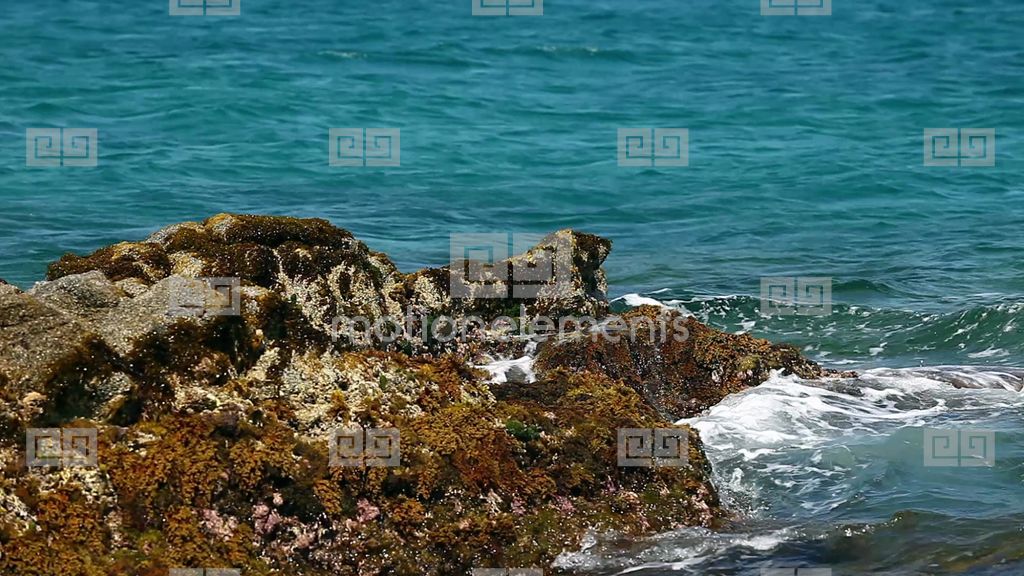 Sea Landscape With Cliffs And Ocean Stock Video Footage Royalty Free 1024x576
