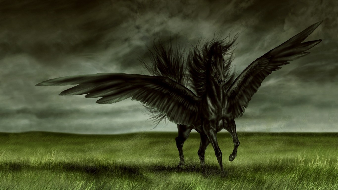 Angel Horse Photos HD Awesome Black Wallpaper