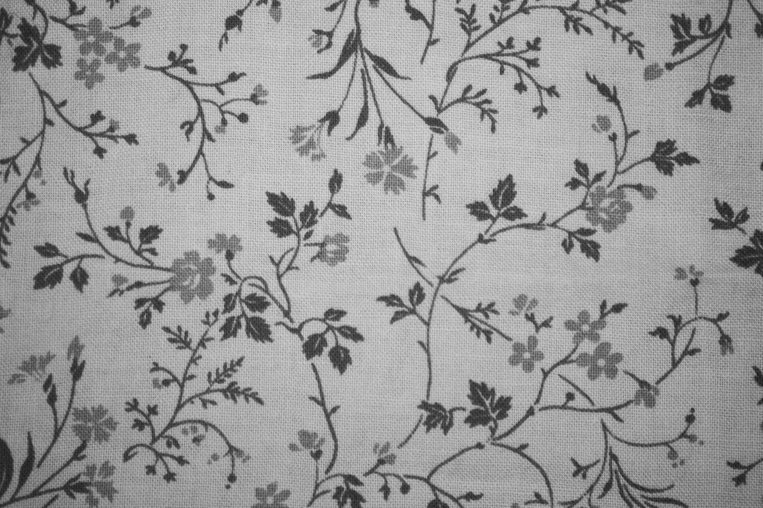 Gray on White Floral Print Fabric Texture   Free High Resolution Photo