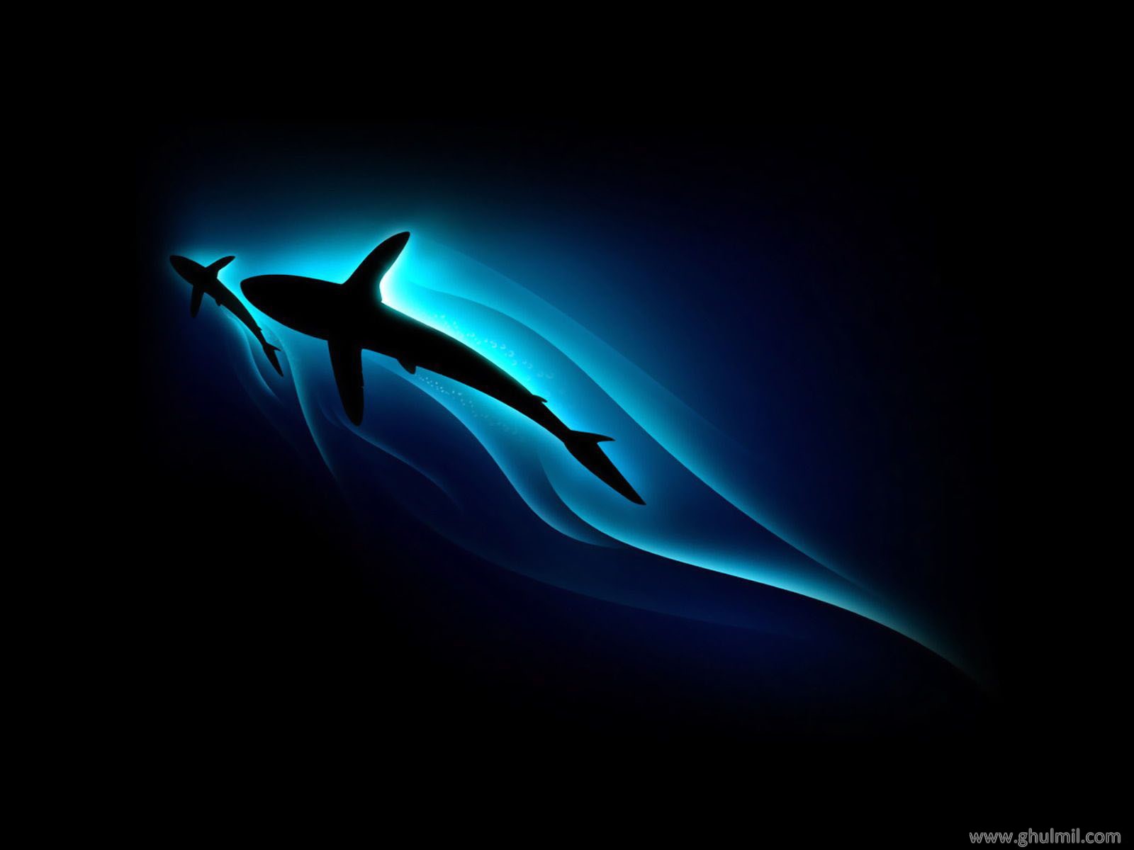 Free download beautiful 3d shark with her kid hd wallpaper for desktops  background [1600x1200] for your Desktop, Mobile & Tablet | Explore 51+ Beautiful  3d Wallpaper | Beautiful 3d Wallpapers, Beautiful Wallpaper,