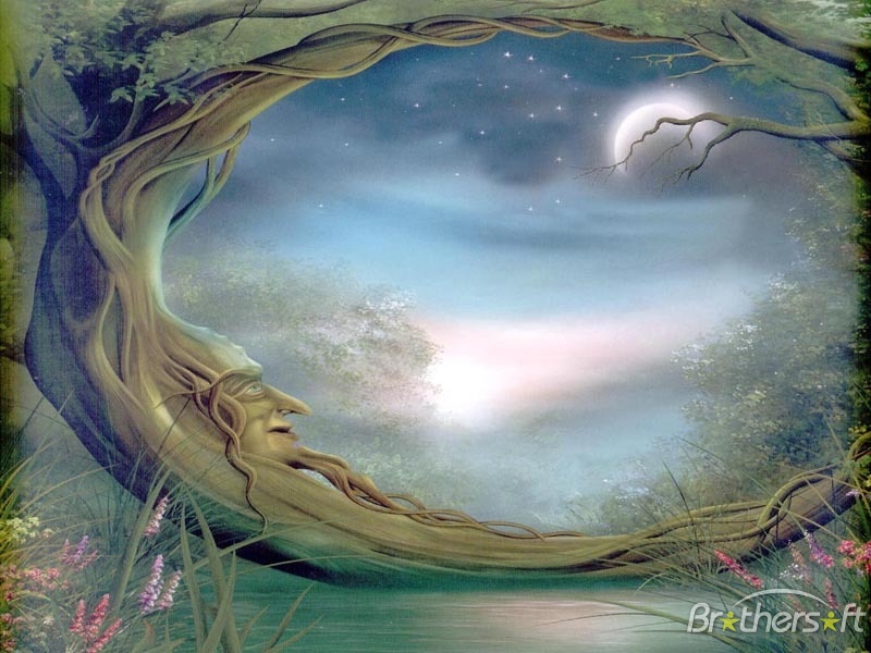 Download Free MYSTICAL FOREST WALLPAPER MYSTICAL FOREST WALLPAPER