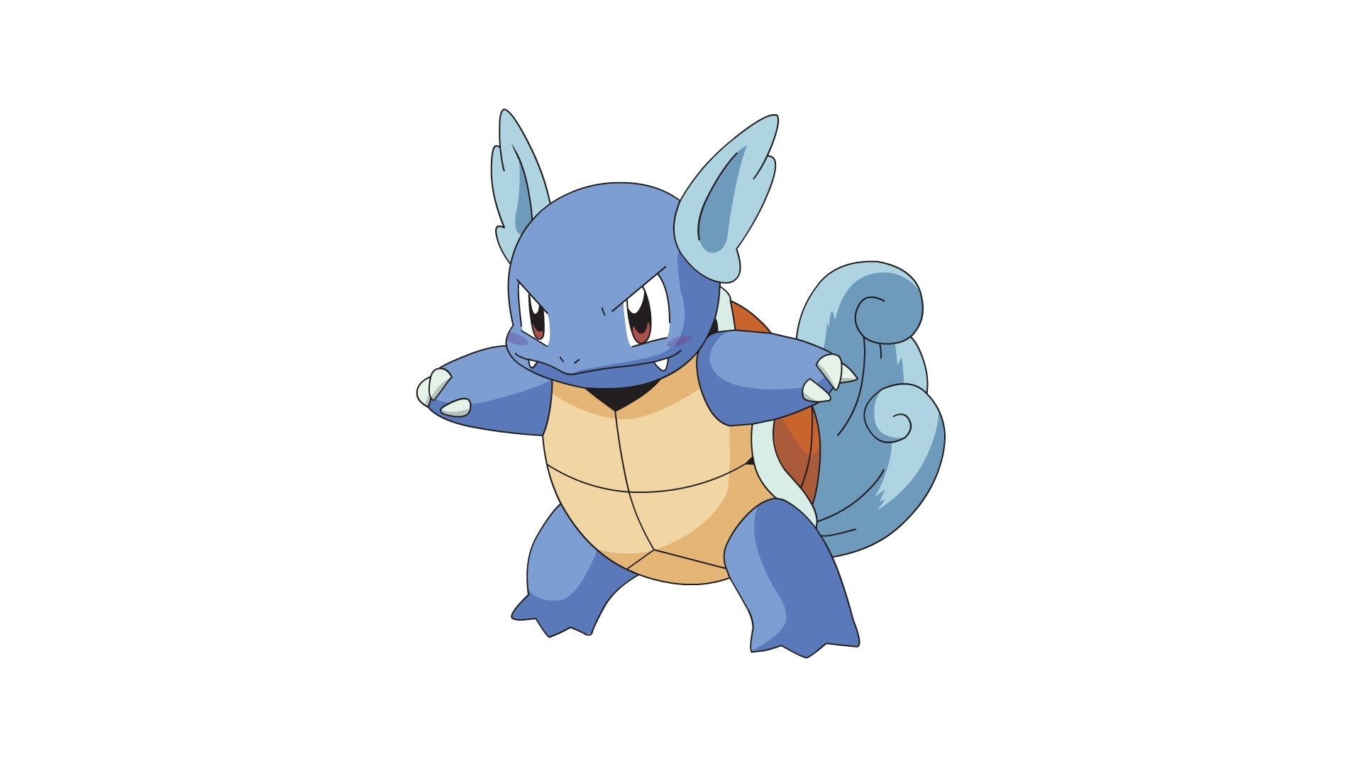 Wartortle Full HD Pictures