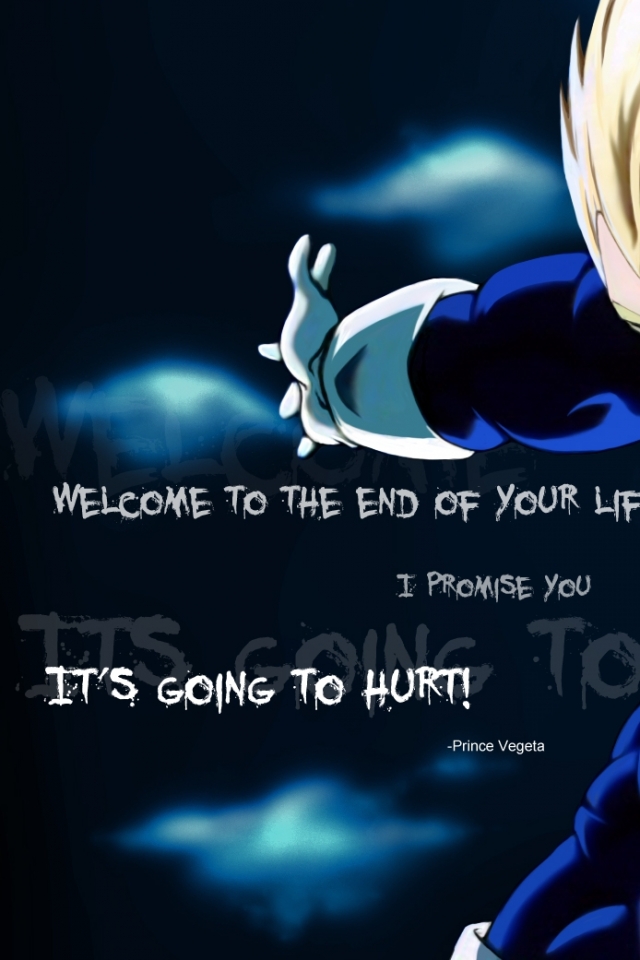 Download Wallpapers Download 640x960 vegeta quotes dragon ball z