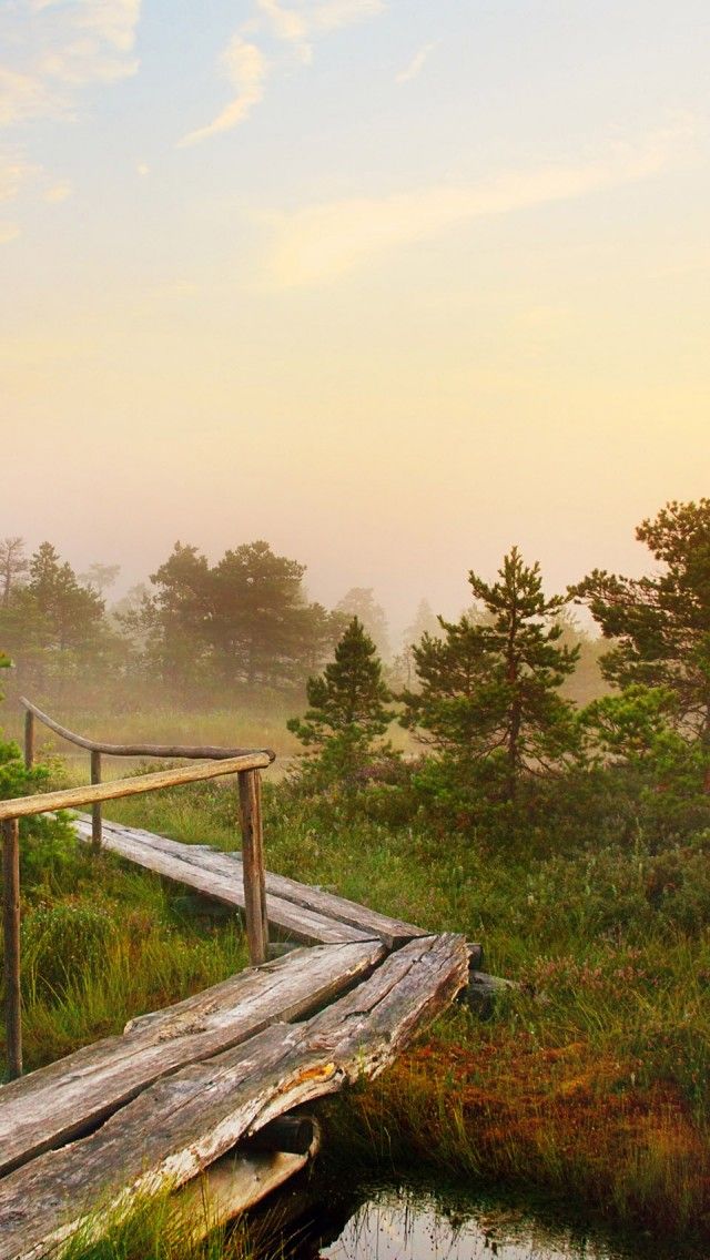 Beautiful Scenic Latvian Morning HD iPhone Wallpaper Latvia