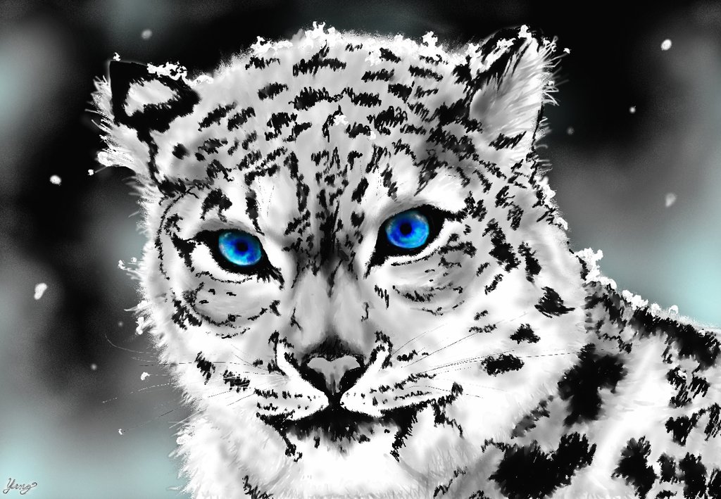 Snow Leopard By Fiyapheonix