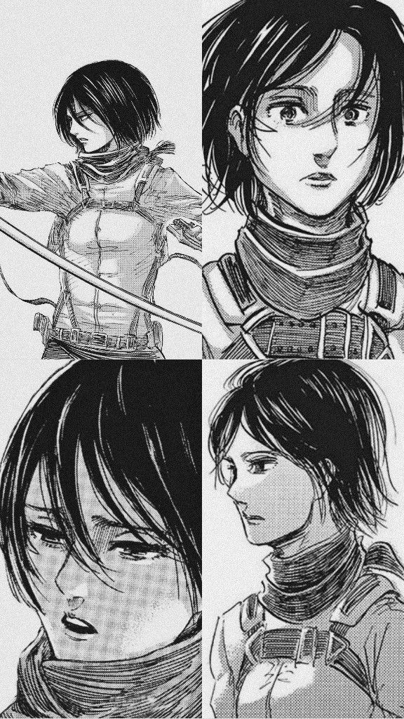 22 Mikasa Manga Wallpapers On Wallpapersafari