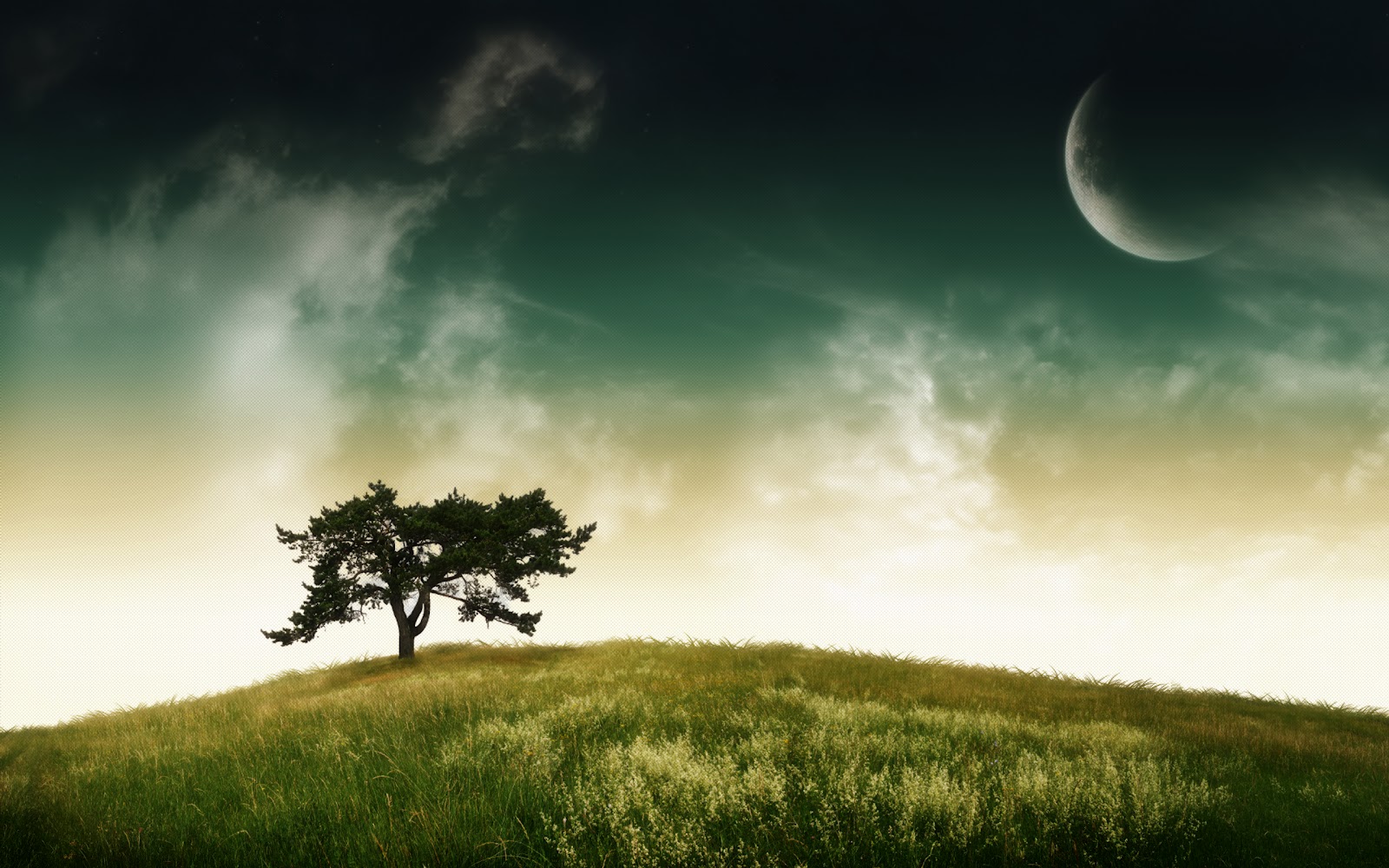 Tree and Moon Great Desktop Background High Quality