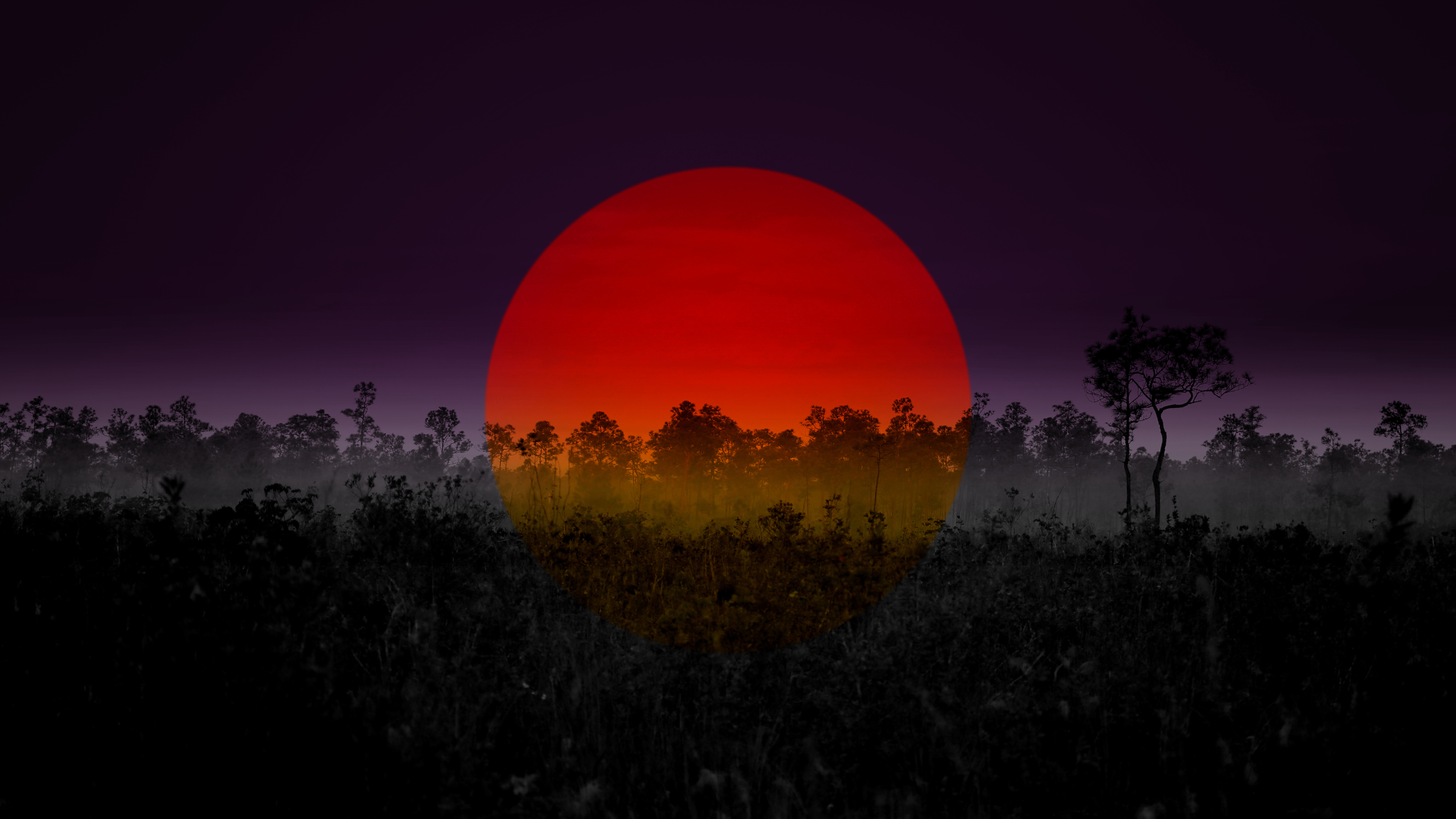 Bright red sun over the trees 5120x2880