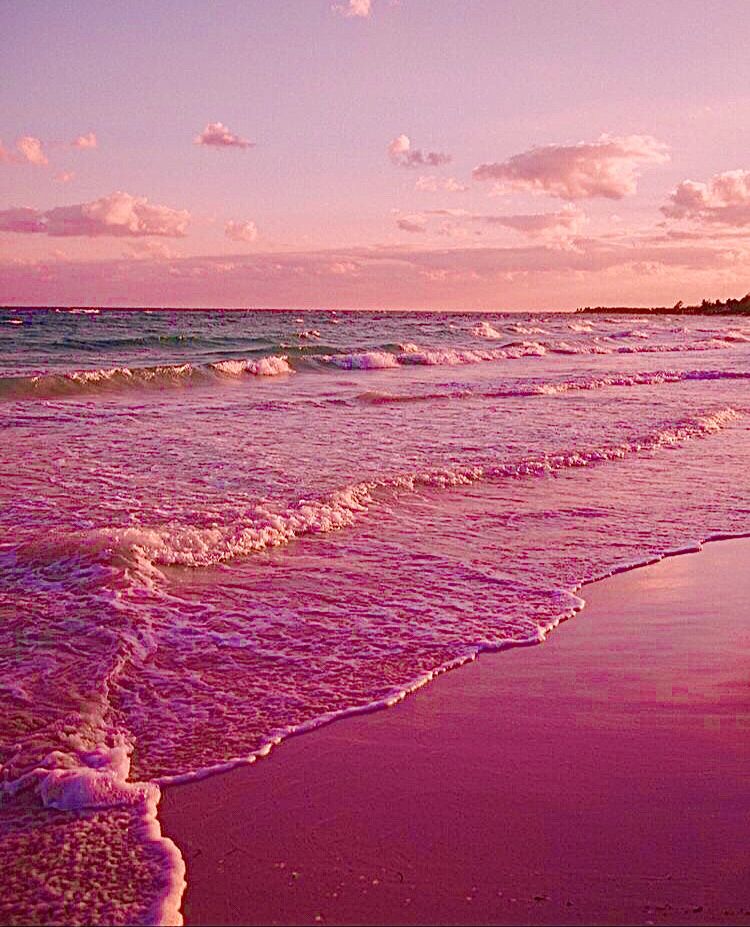 63db3c38f700b060d287957e1dbaa61c Wallpaper