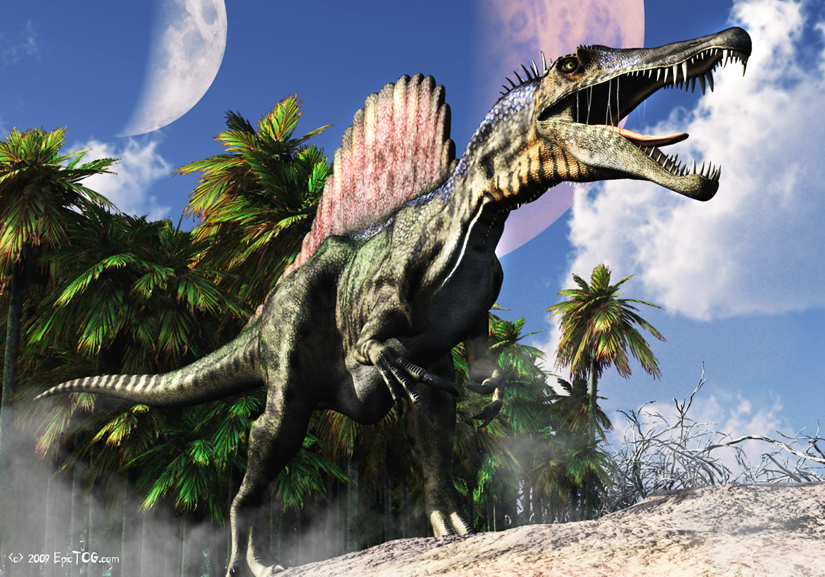 Dinosaurs Image Spinosaurus HD Wallpaper And Background