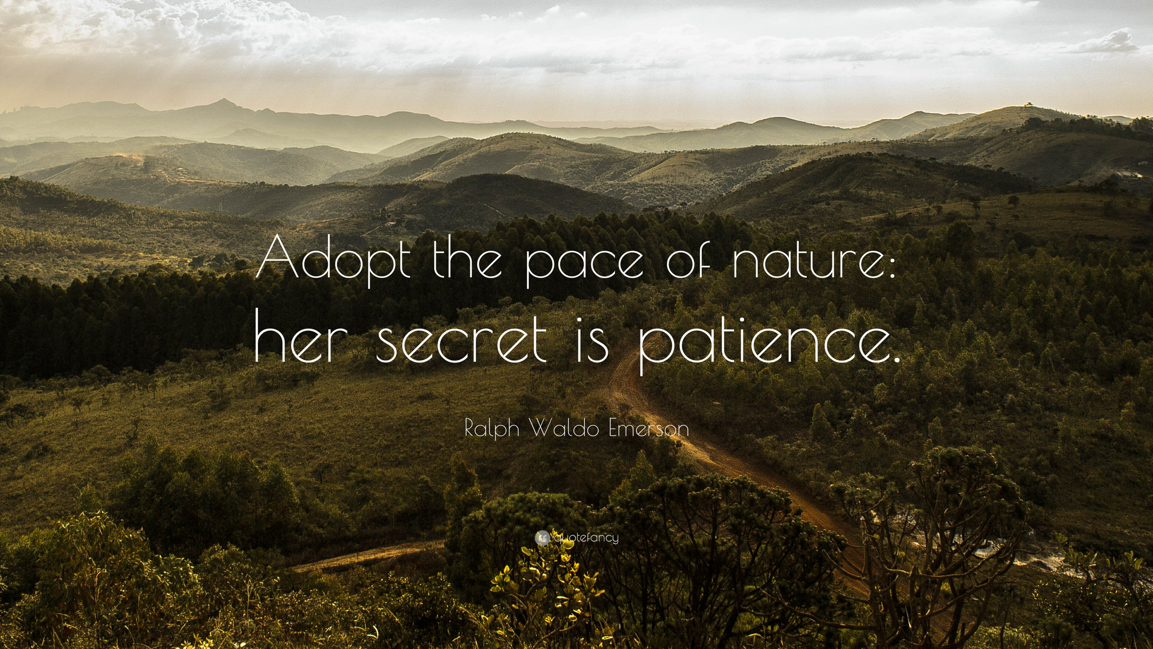Quotes About Nature And Happiness