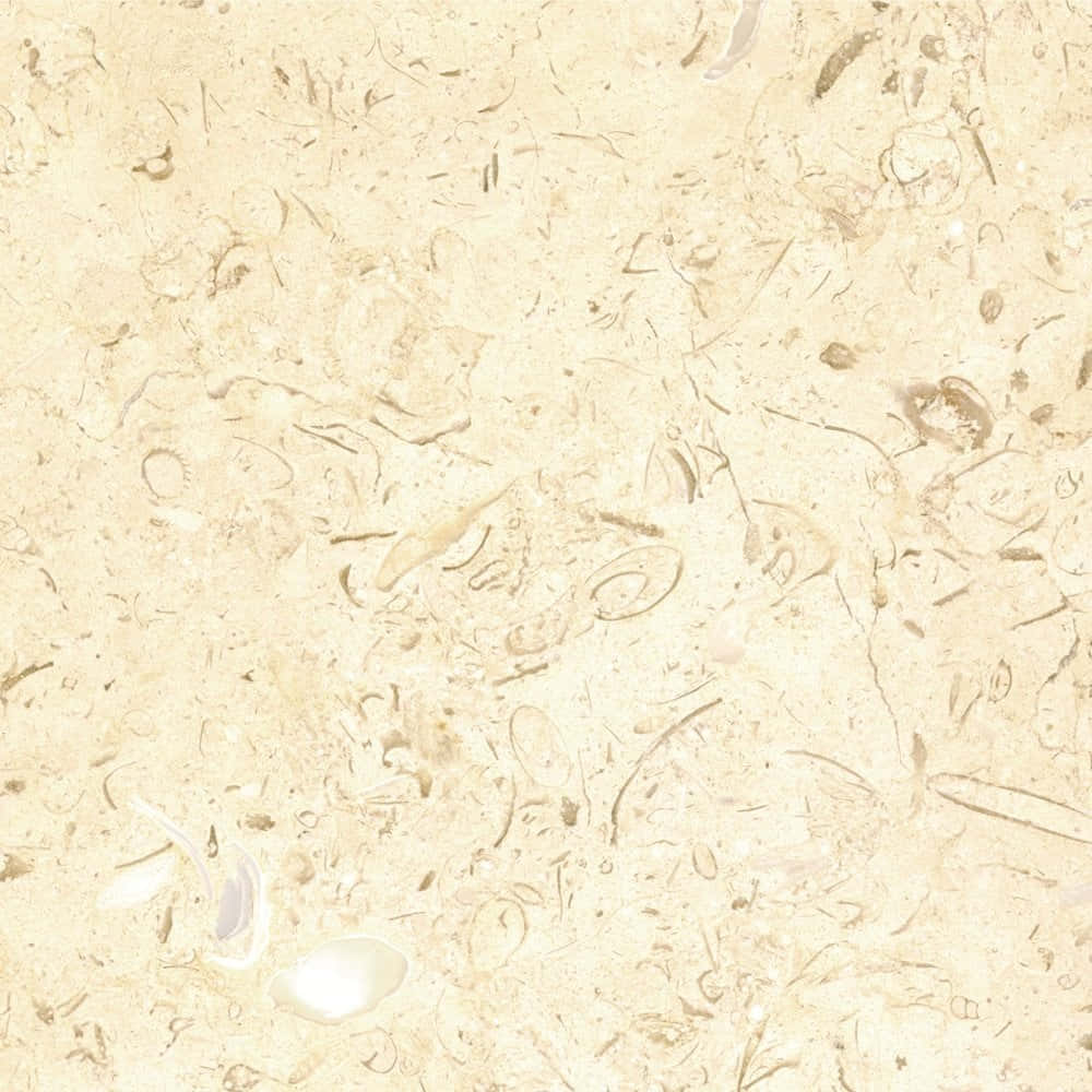 Neutral Colors Background Wallpaper