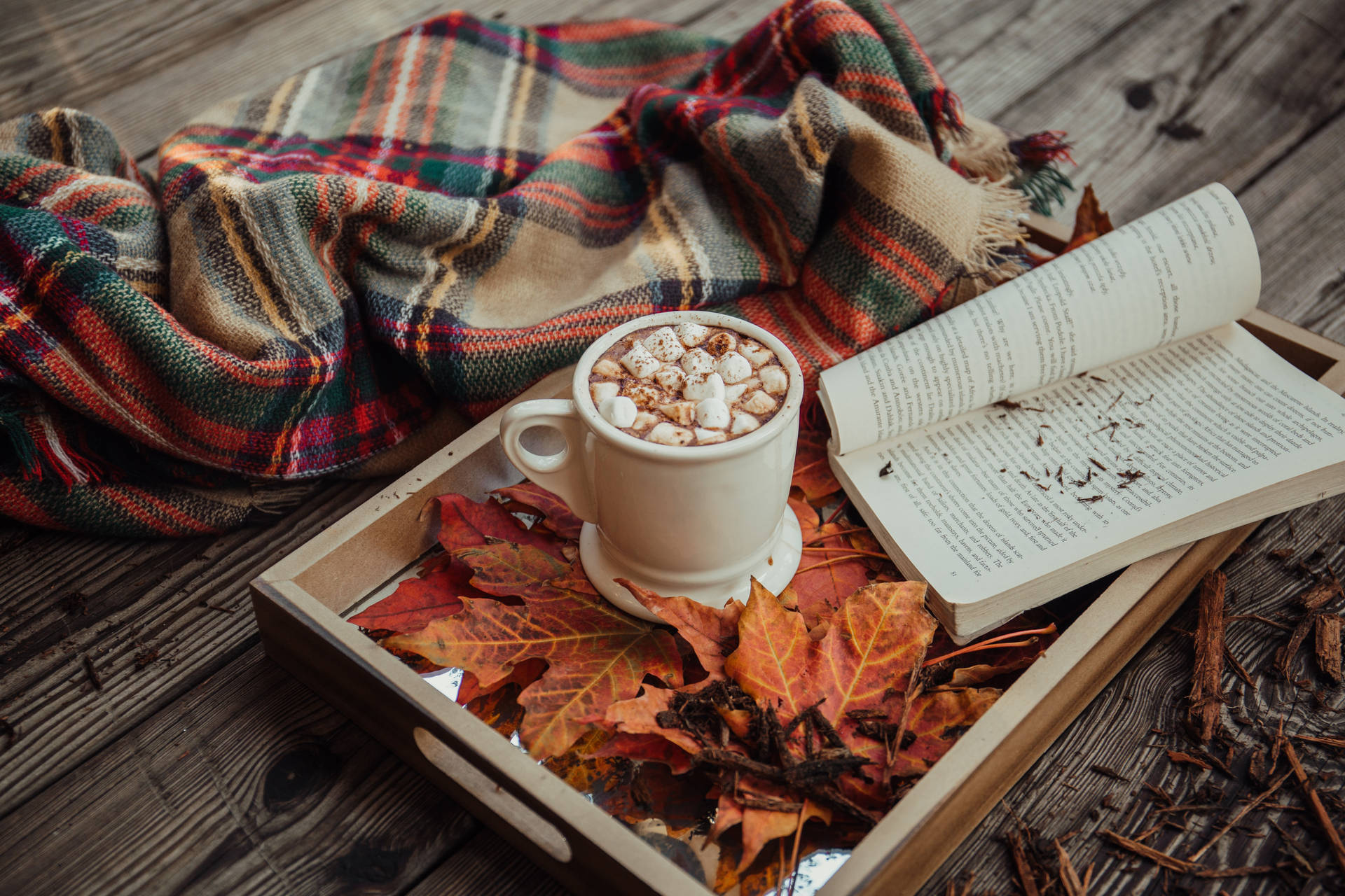 Cozy Autumn Wallpaper