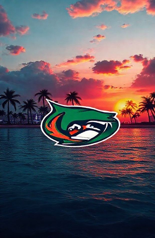Miami Hurricanes Wallpaper