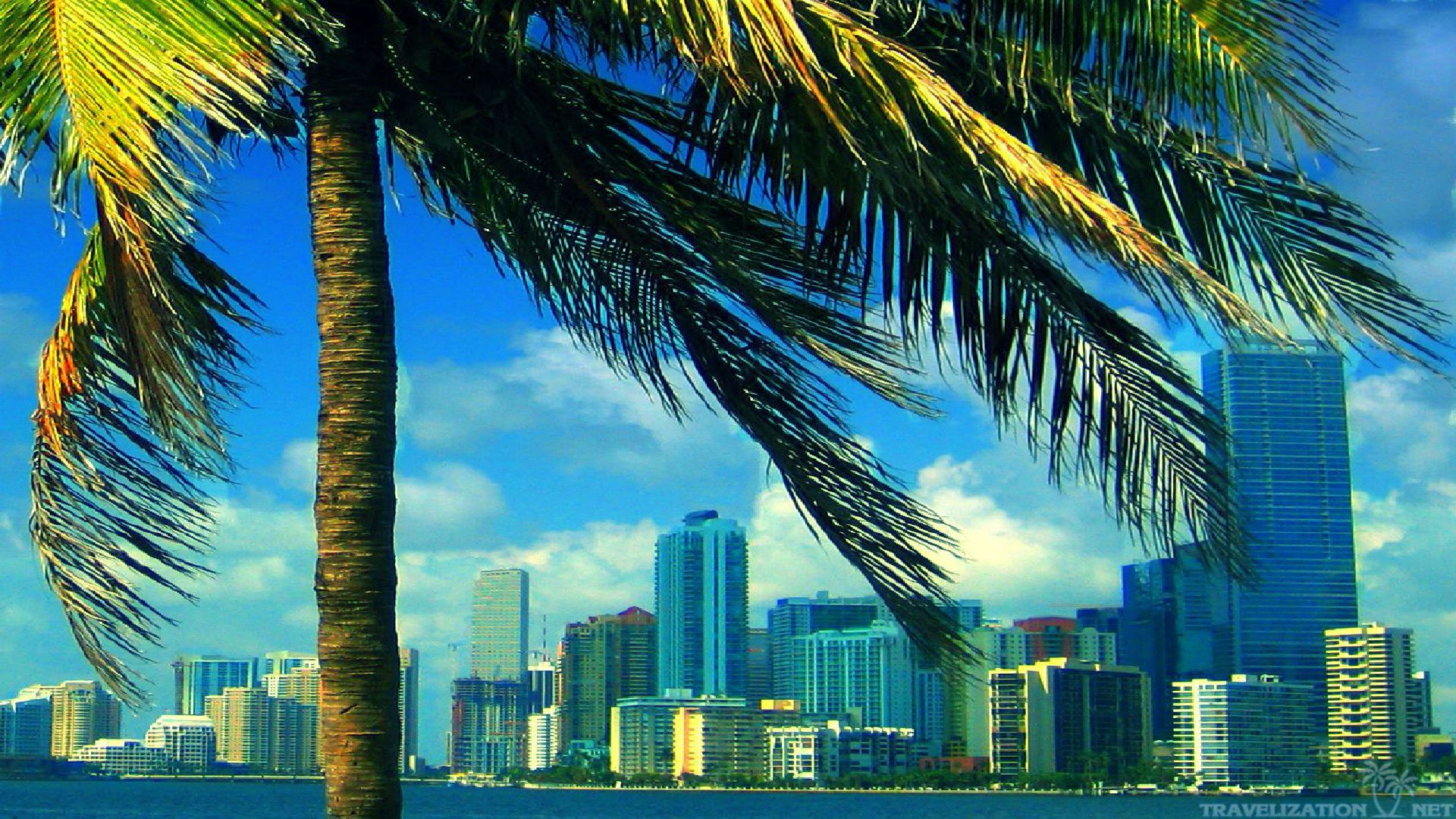 Miami Wallpapers The City Skyline Across The Beach
