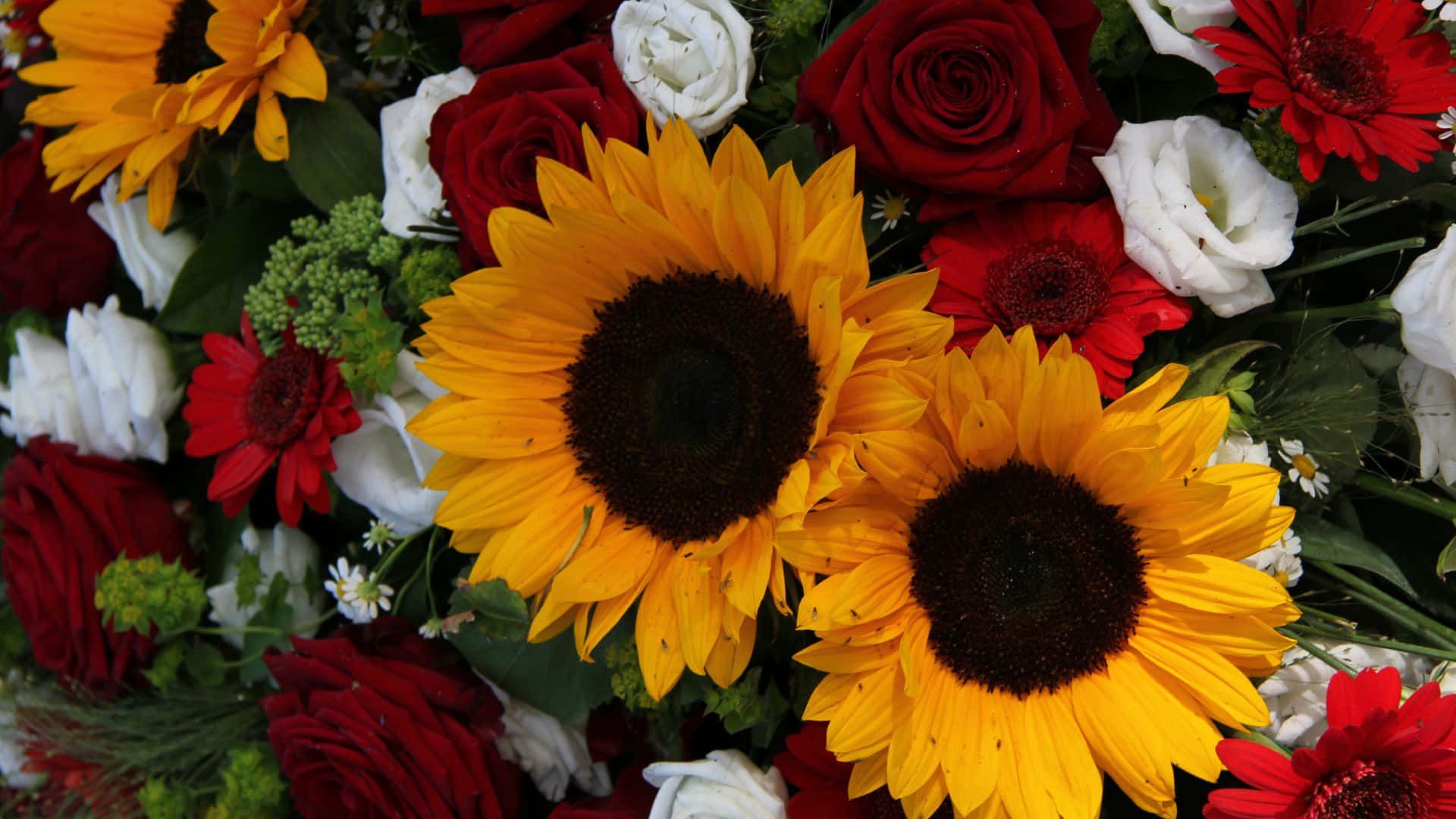 Sunflowers And Roses Wallpaper