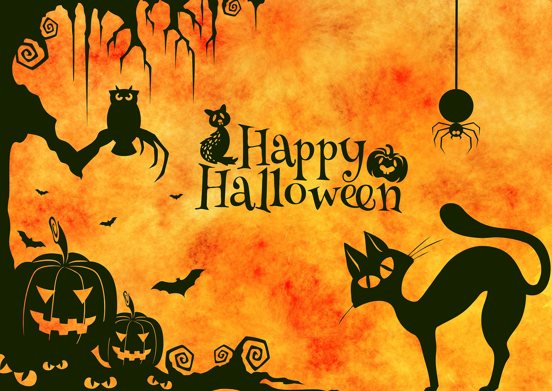 Scary Halloween Wallpaper HD Background Pumpkins