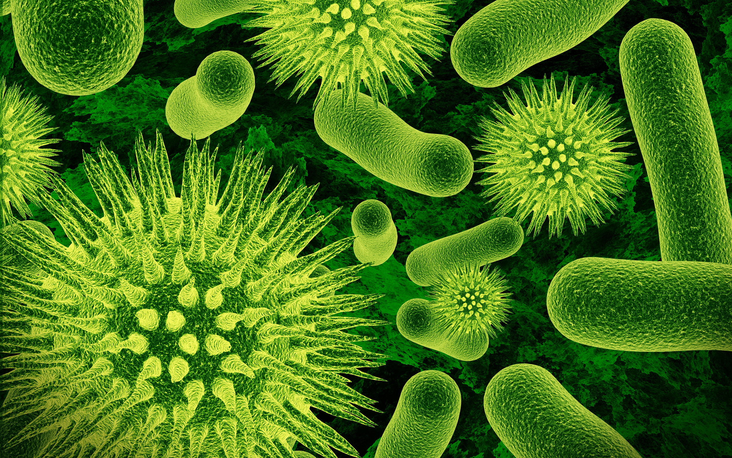 Wallpaper Macro Germs Bacteria Resolution