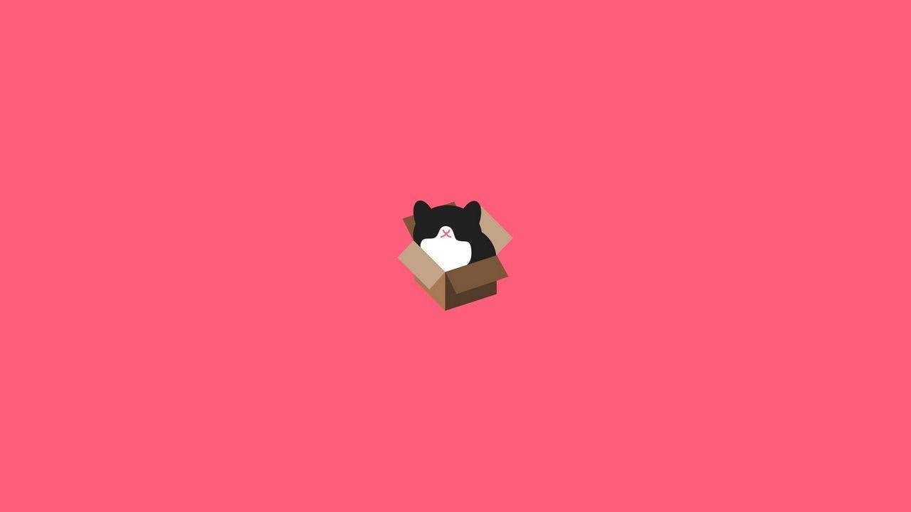 Plain Aesthetic Wallpaper