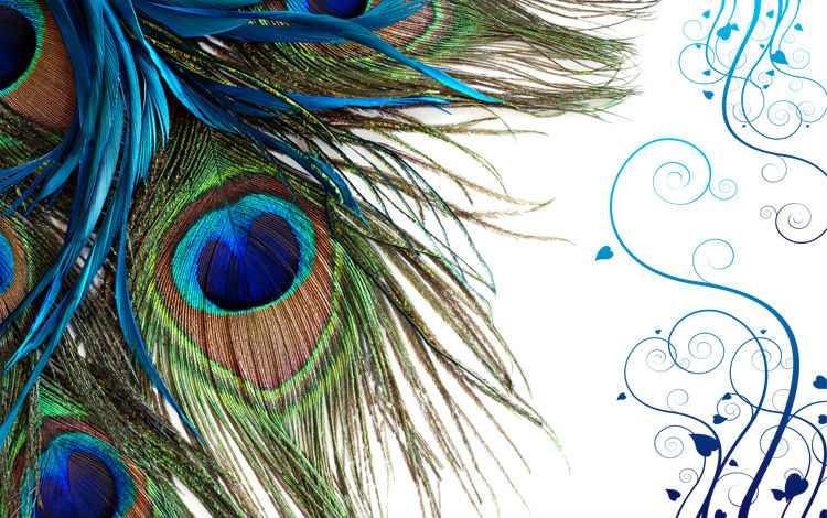 Peacock Feather Background Promotion Online Shopping For Promotional