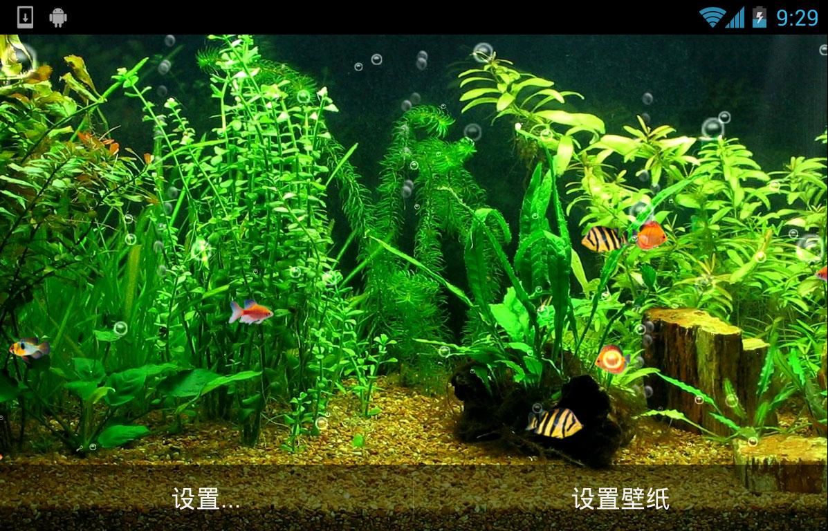 HD Live Wallpaper For Android Fishbowl
