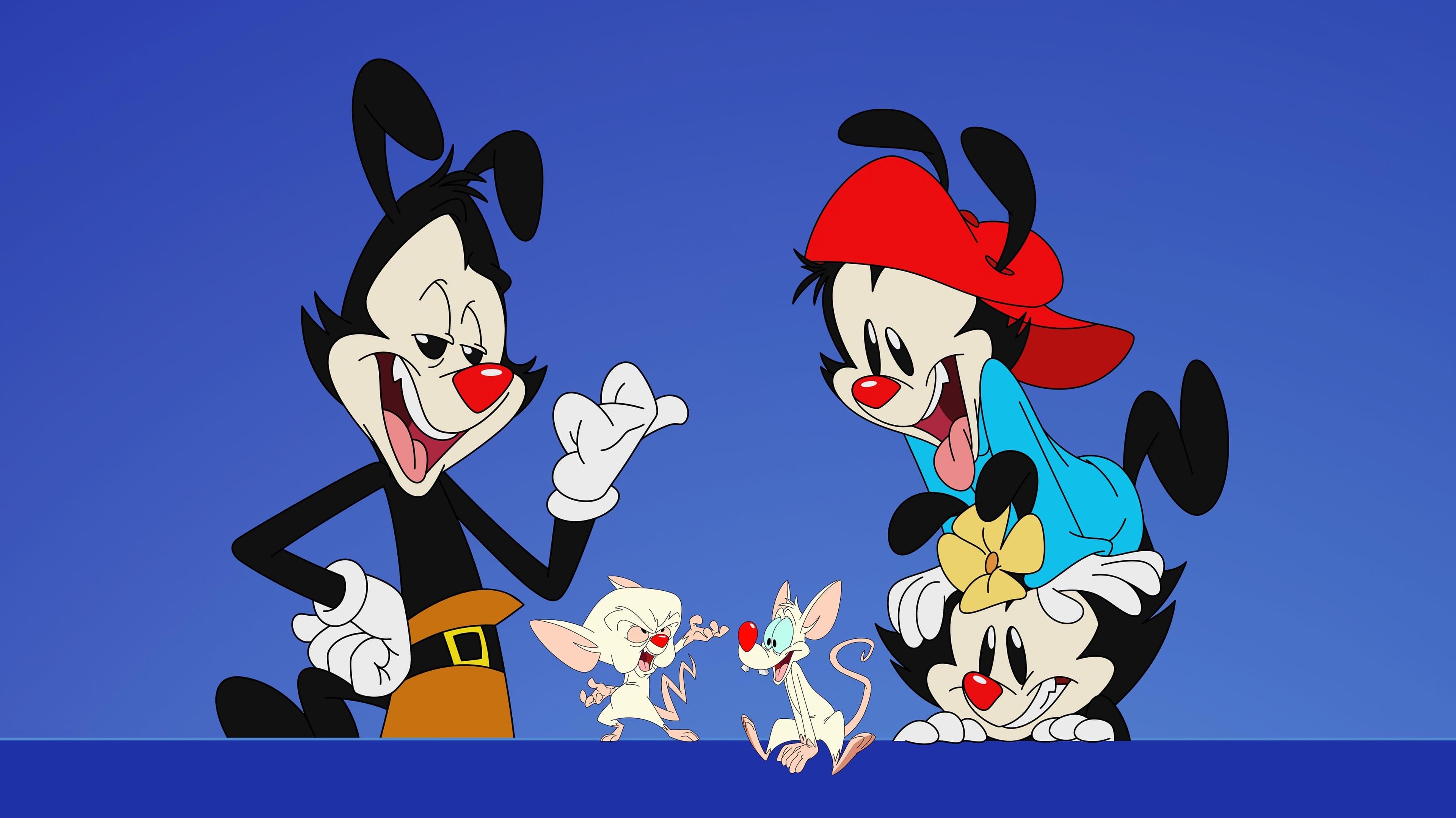 Animaniacs HD Wallpaper And Background