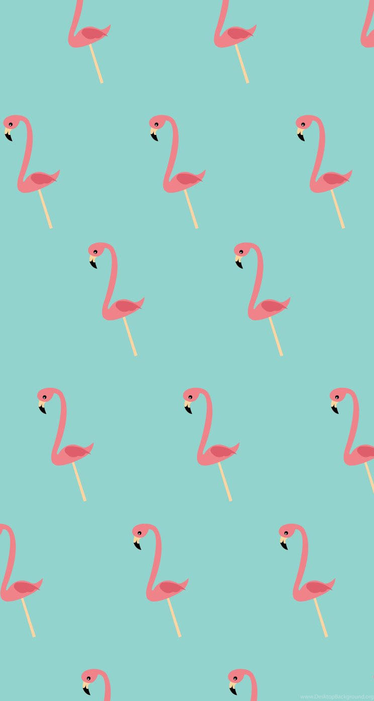 Cute Flamingo Cartoon Pattern 417sxxdyrlsojwaf Wallpaper