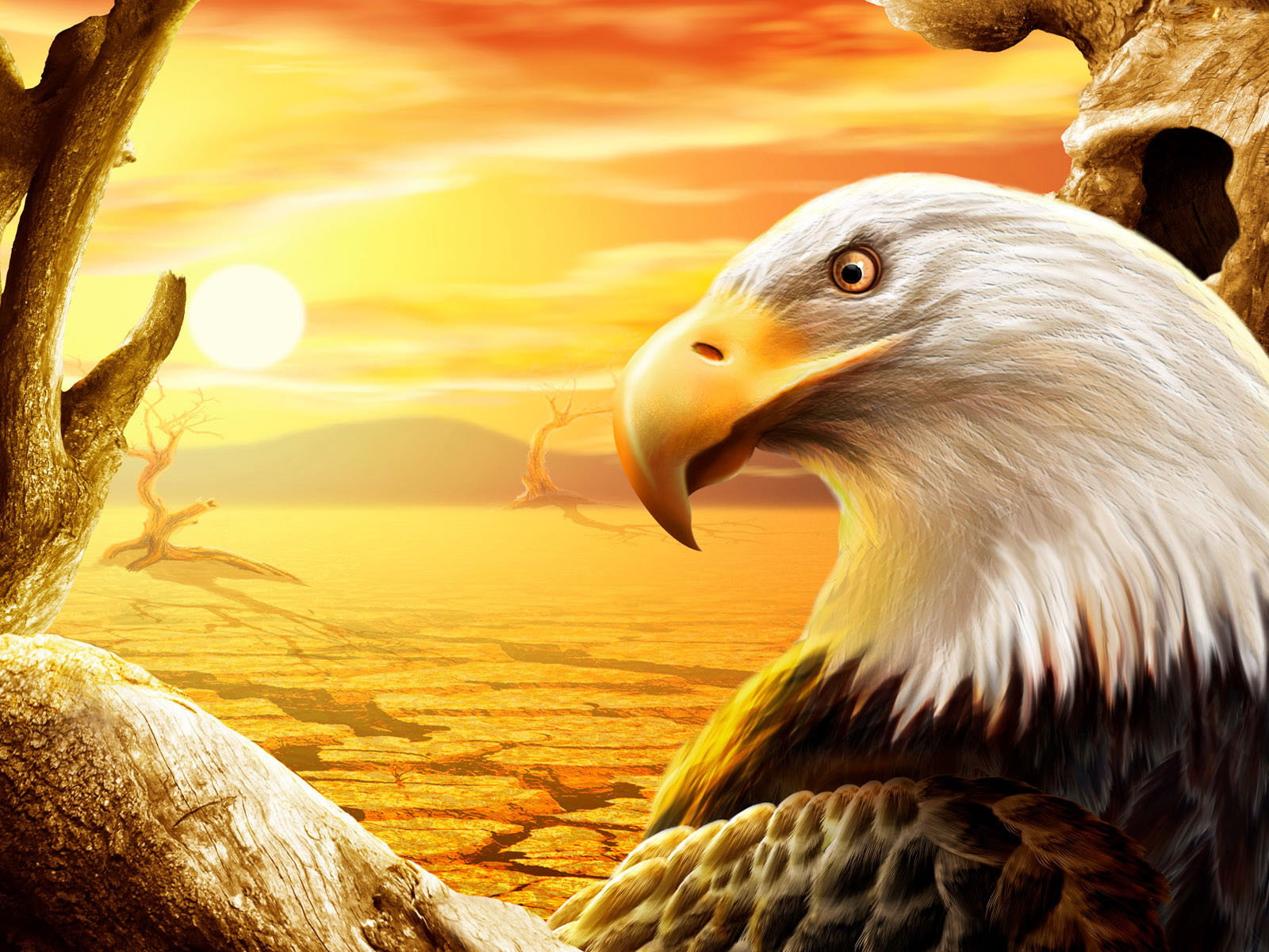 Majestic Bald Eagle HD Wallpaper At Sunset