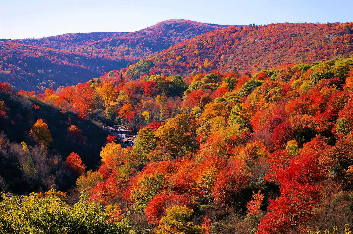 Peak Fall Color At Graveyard Fields Is Usually The Second Week Of