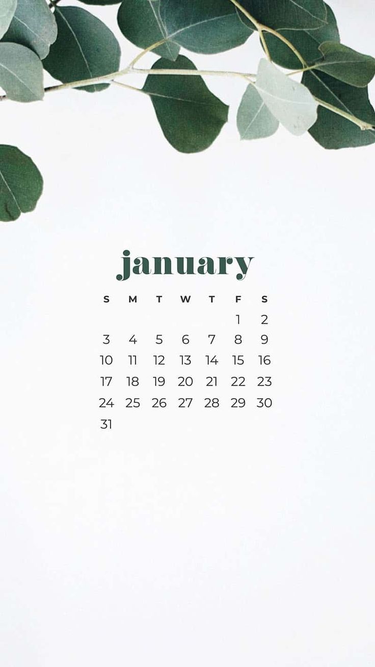 January 2022 Calendar Wallpaper Ipad.Free Download January 2021 Calendar Wallpapers 30 Free Designs To Choose From 736x1308 For Your Desktop Mobile Tablet Explore 29 February 2022 Calendar Wallpapers February 2016 Wallpaper Calendar February 2015 Wallpaper Calendar February