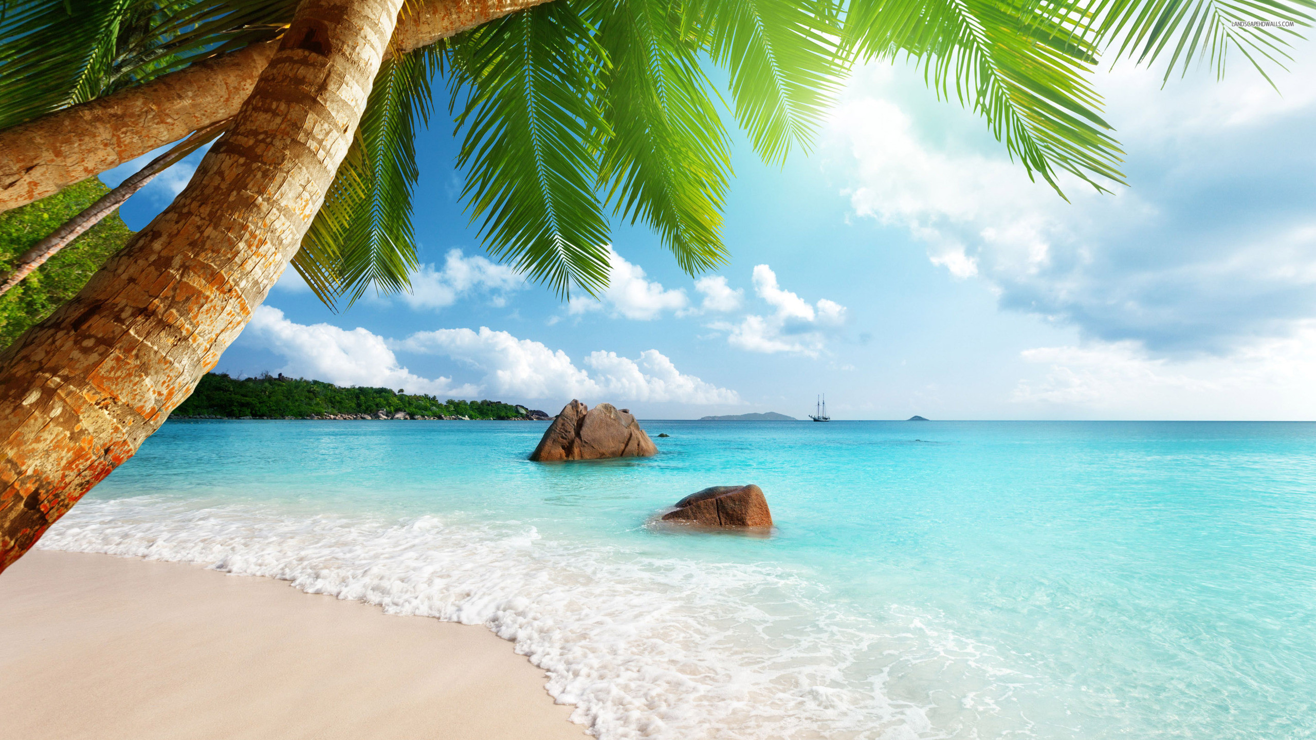 Idyllic tropical beach scene with turquoise water, white sand, palm trees, and a sailboat in the distance