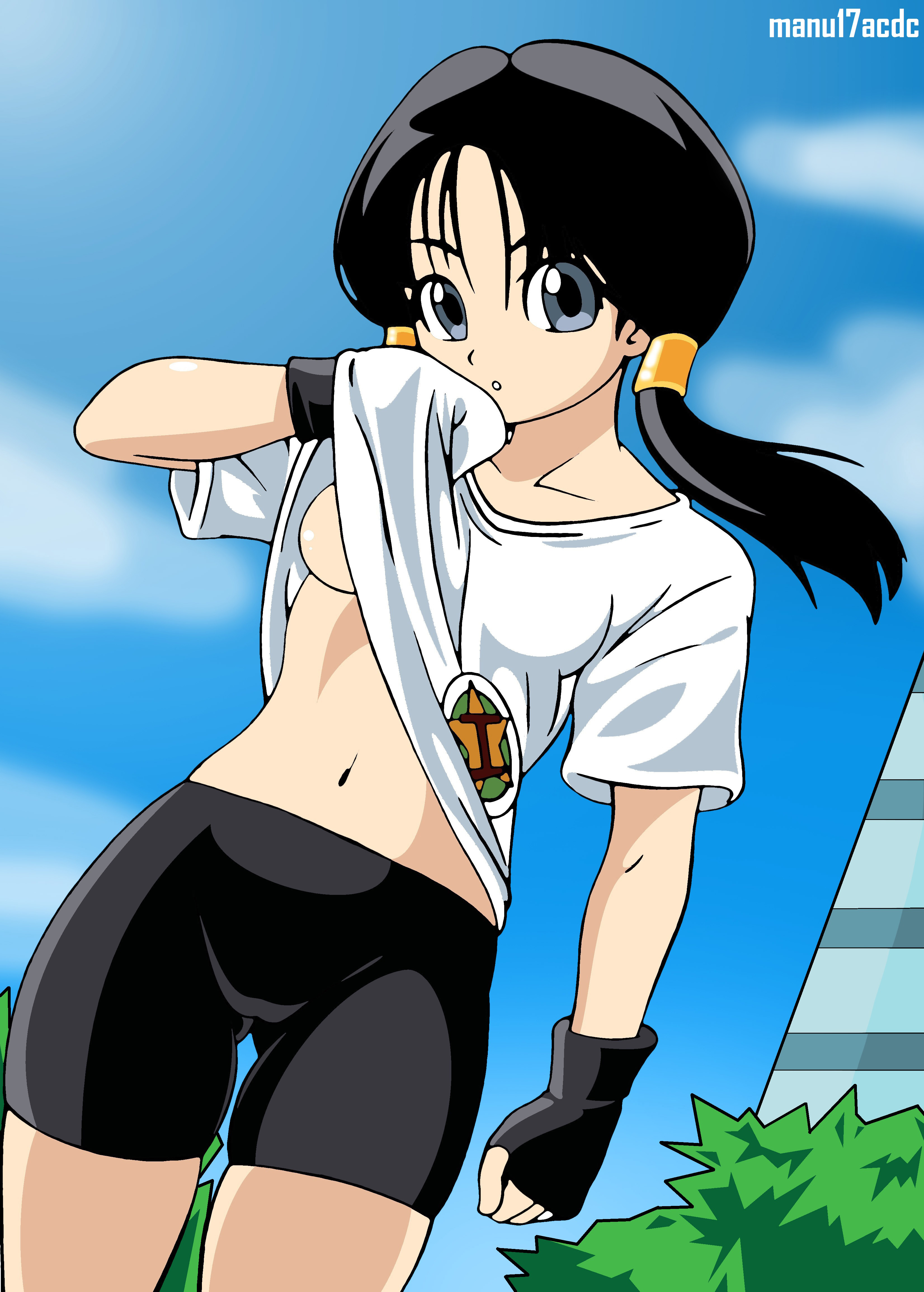Free Download Dragon Ball Z Wallpapers Videl [960x1600] For Your