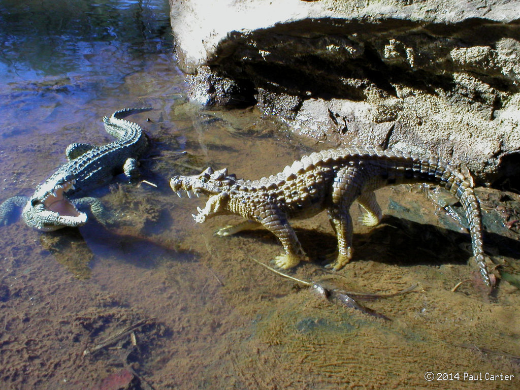 Kaprosuchus Vs Crocodile By Carnosaur