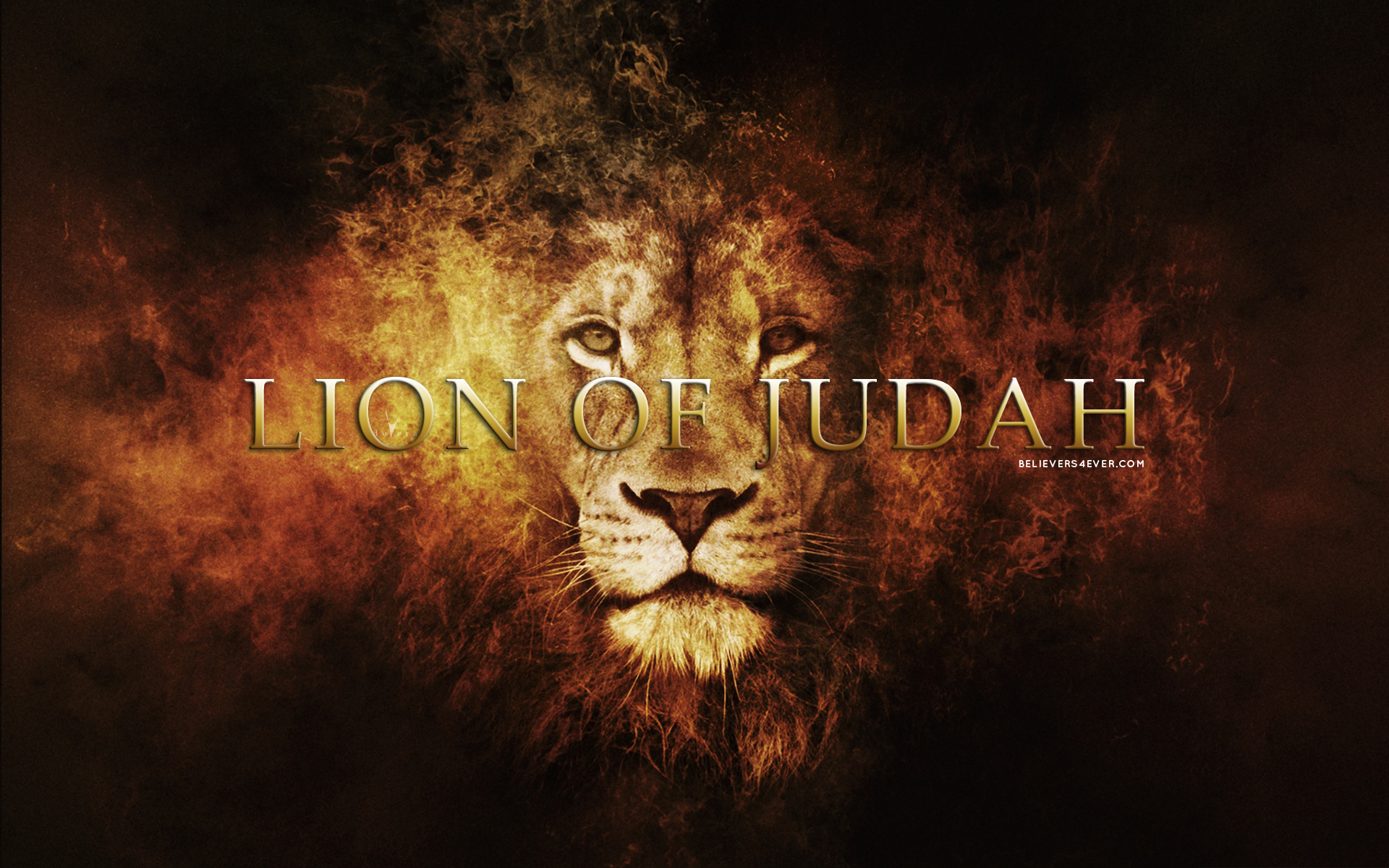 Lion Of Judah Believers4ever
