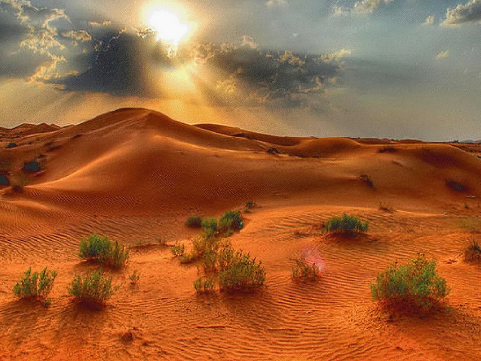 Sunlight Desert Desktop Pc And Mac Wallpaper