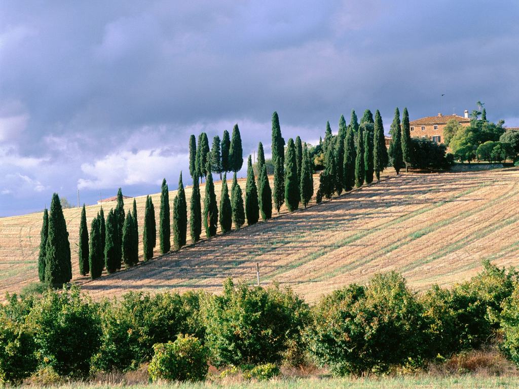 Italy Scenery Green Tree Wallaper