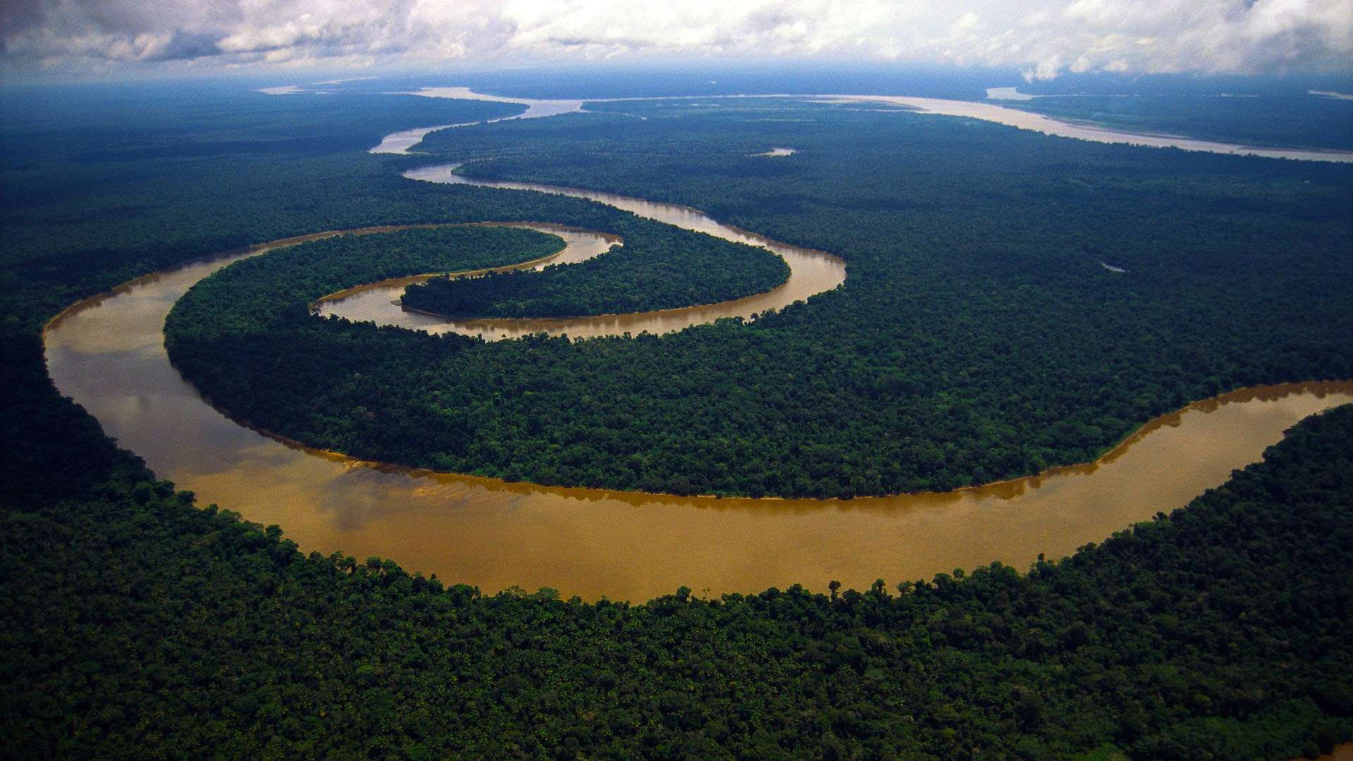 Wallpaper For Amazon Rainforest 3d