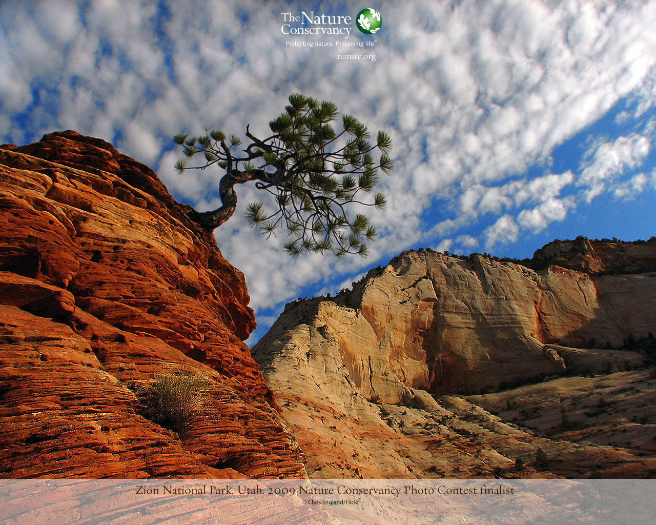 Featured Zion Pixel Nature HD Wallpaper