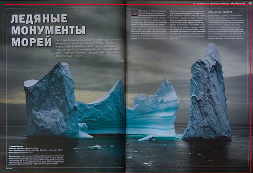 Iceberg Lettuce Deseases Photos History Purse