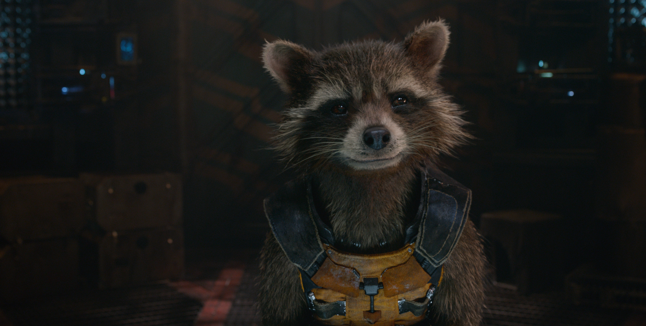 Raccoon From Marvel S Guardians Of The Galaxy Desktop Wallpaper