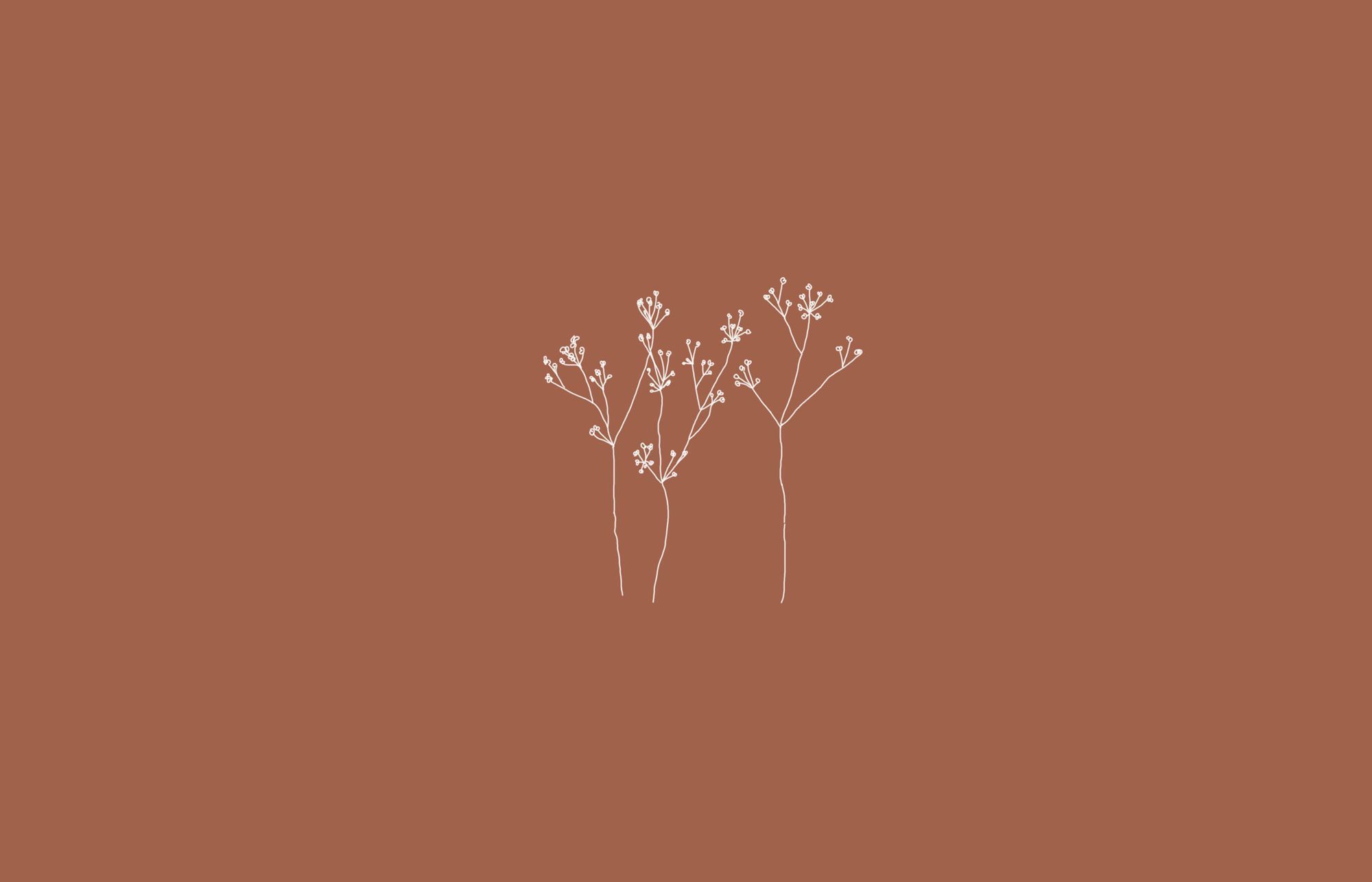 Aesthetic Plain Wallpaper