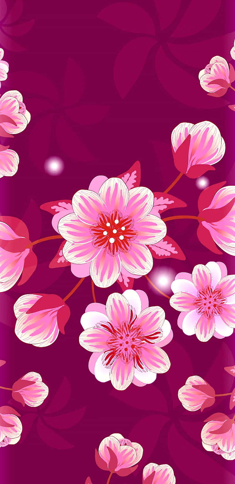 Pink Cherry Blossom Wallpaper