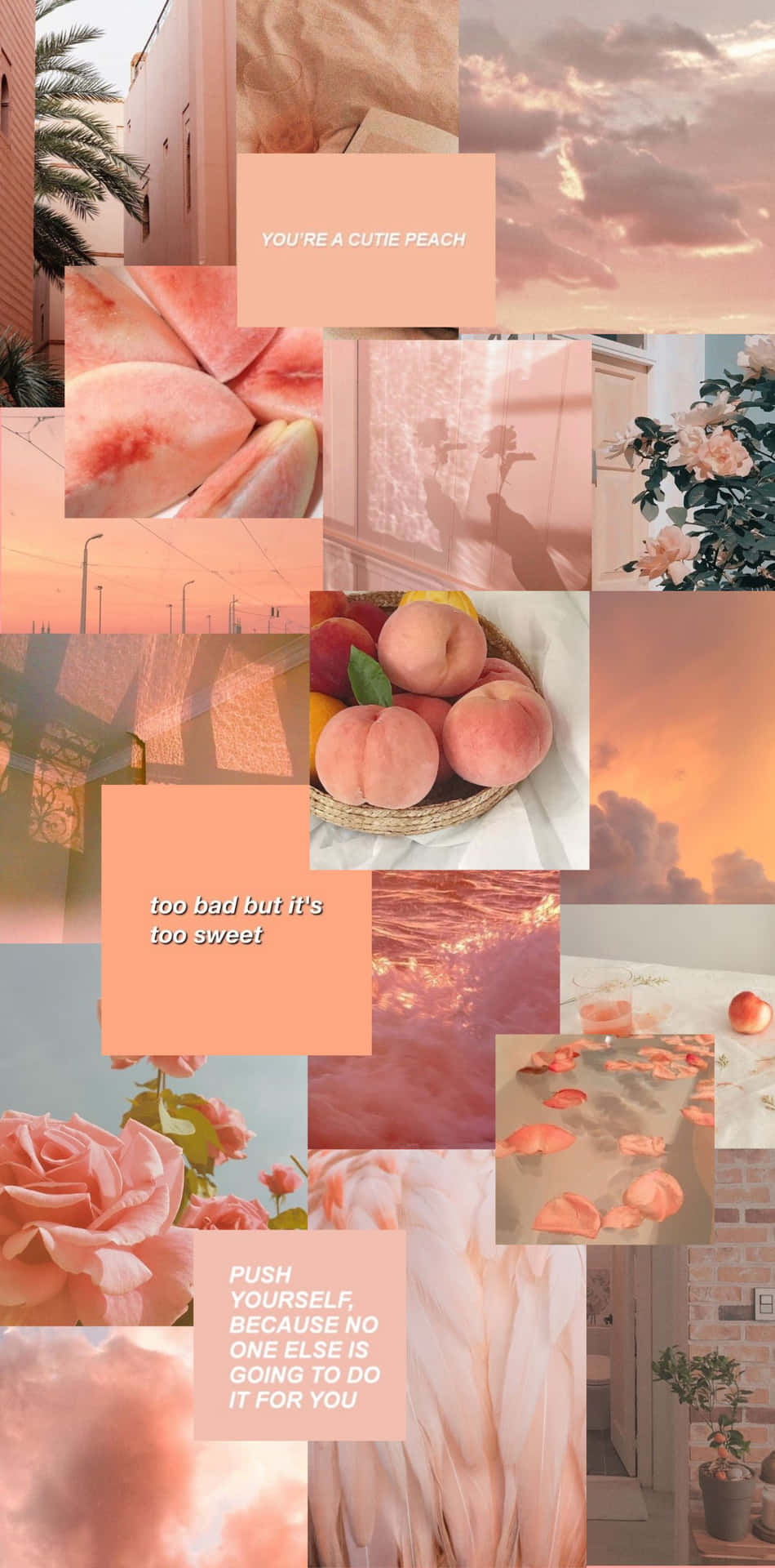 Embrace The Beauty Of Peach Orange Wallpaper
